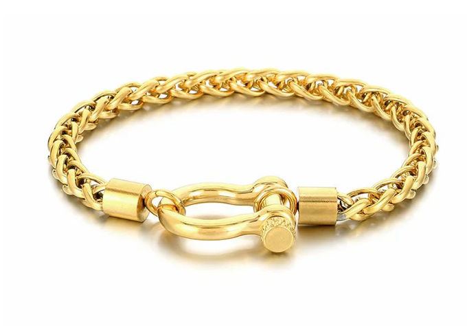 HoopLa – wholesale Charm/dangle bracelet – Horse Bit Carabiner Bracelet- Steel - Charm Bracelet 14K PVD6