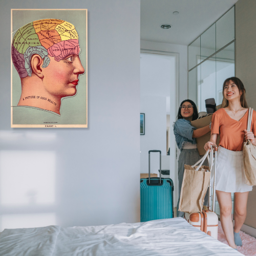 Barbara Decor – wholesale Poster – 16x24" Poster, Vintage Phrenology Poster Print, Brain Art8