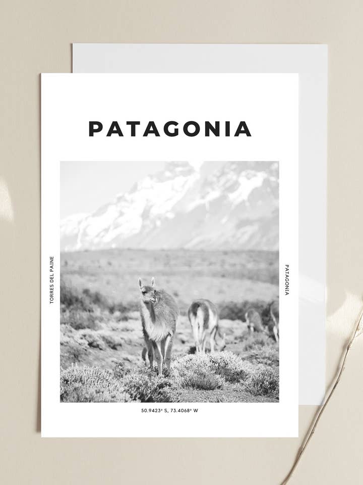 Patagonia 'Chilean Dream World' Print for wholesale by The Travel Edit