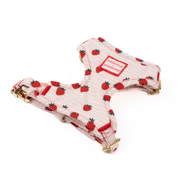 Bröstsele Jordgubbsvibbar för wholesale av B de Bruno