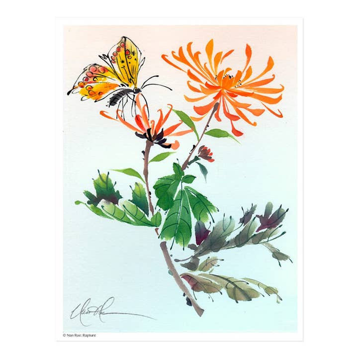 Rapimento per la vendita all'ingrosso da parte di Nan Rae Studio