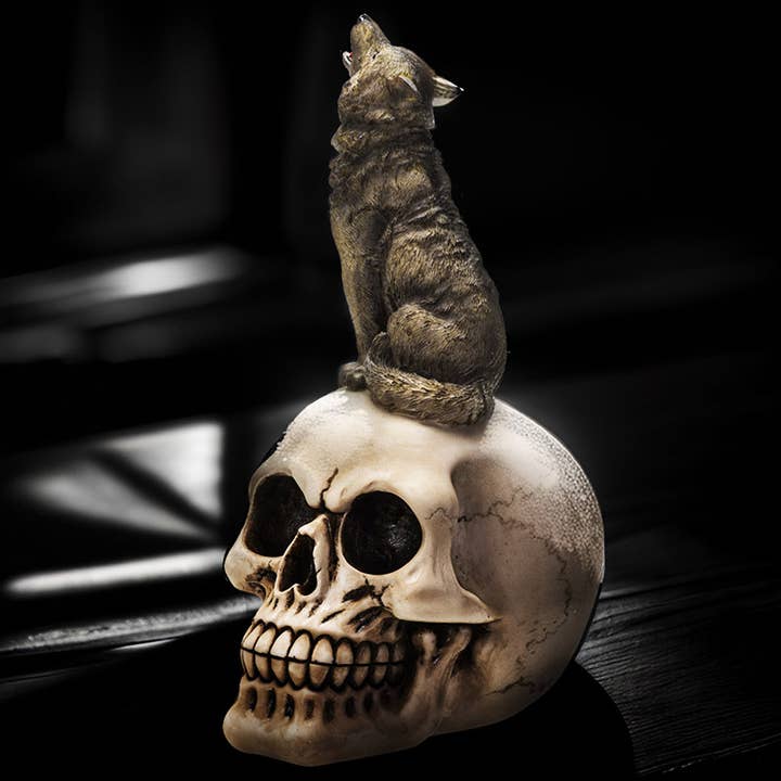 Grey Howling Wolf on Skull for wholesale by Pacific Trading