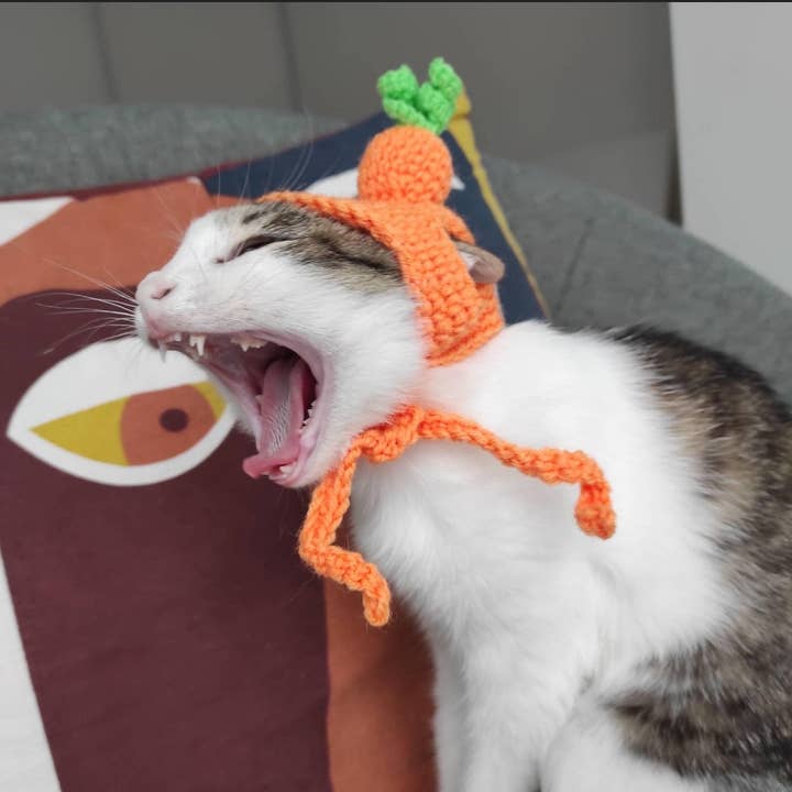 Chapeau carotte chat Halloween Déguisement chat lapin Amoureux des chats pour la vente par FairyBabyGifts