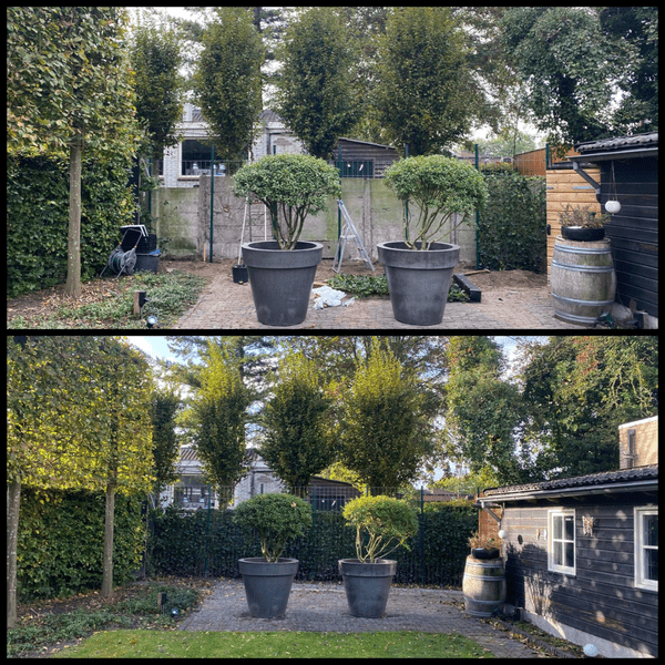 Oasis of Life - Wholesale Garden Tool - Plant Clips 100 Pieces – Plant Ties for Garden Balcony Greenhouse – Weatherproof and Durable Plastic2