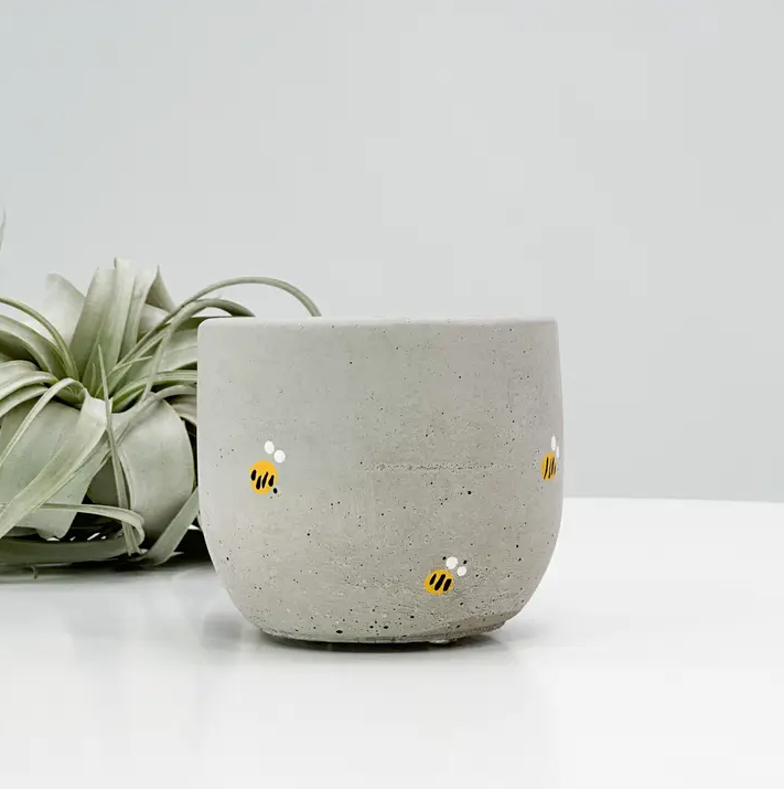 The Plant Supply - Wholesale Plant Pot - Concrete Planter - 4" | Plant Pot With Drainage Hole1