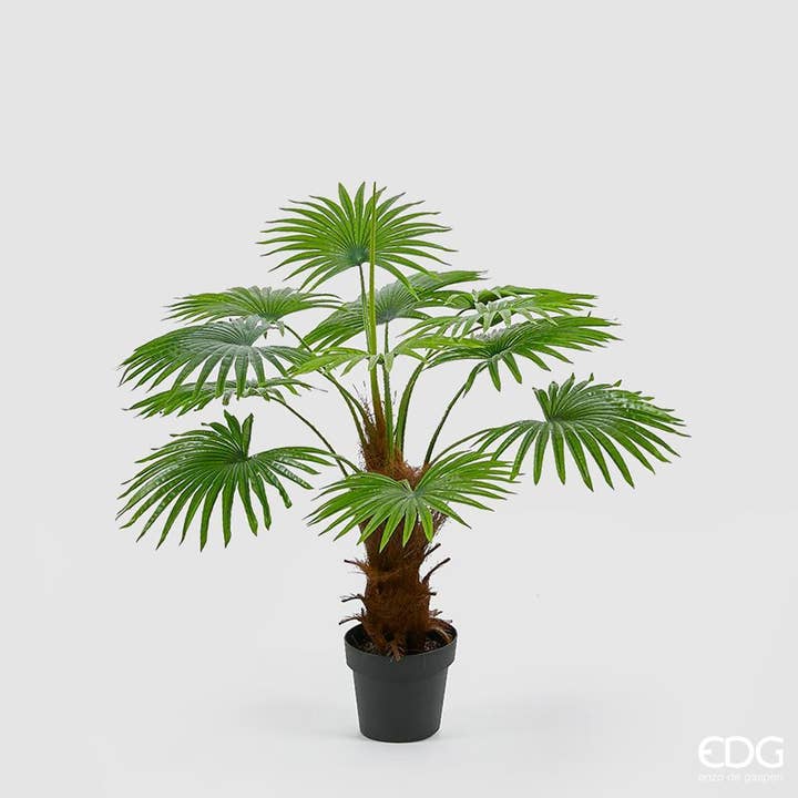 CAMERUS PALM MIT PVC-VASE für den Großhandel von edg