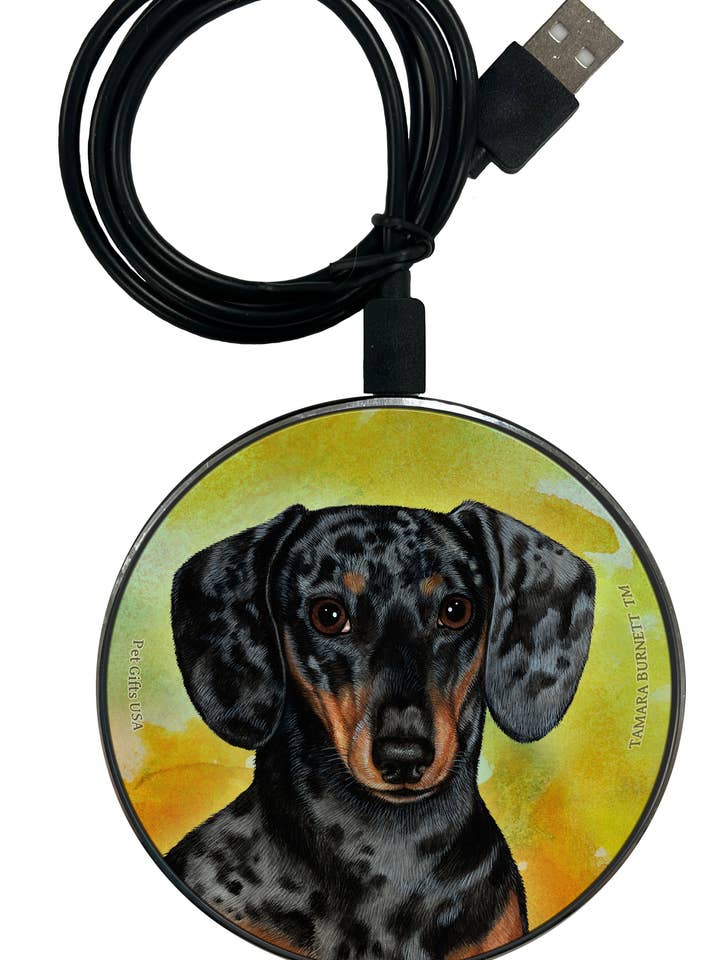 Dachshund Shorthr Dap Drk Blk & Tan - Zoomies Phone Charger for wholesale by Pet Gifts USA, LLC