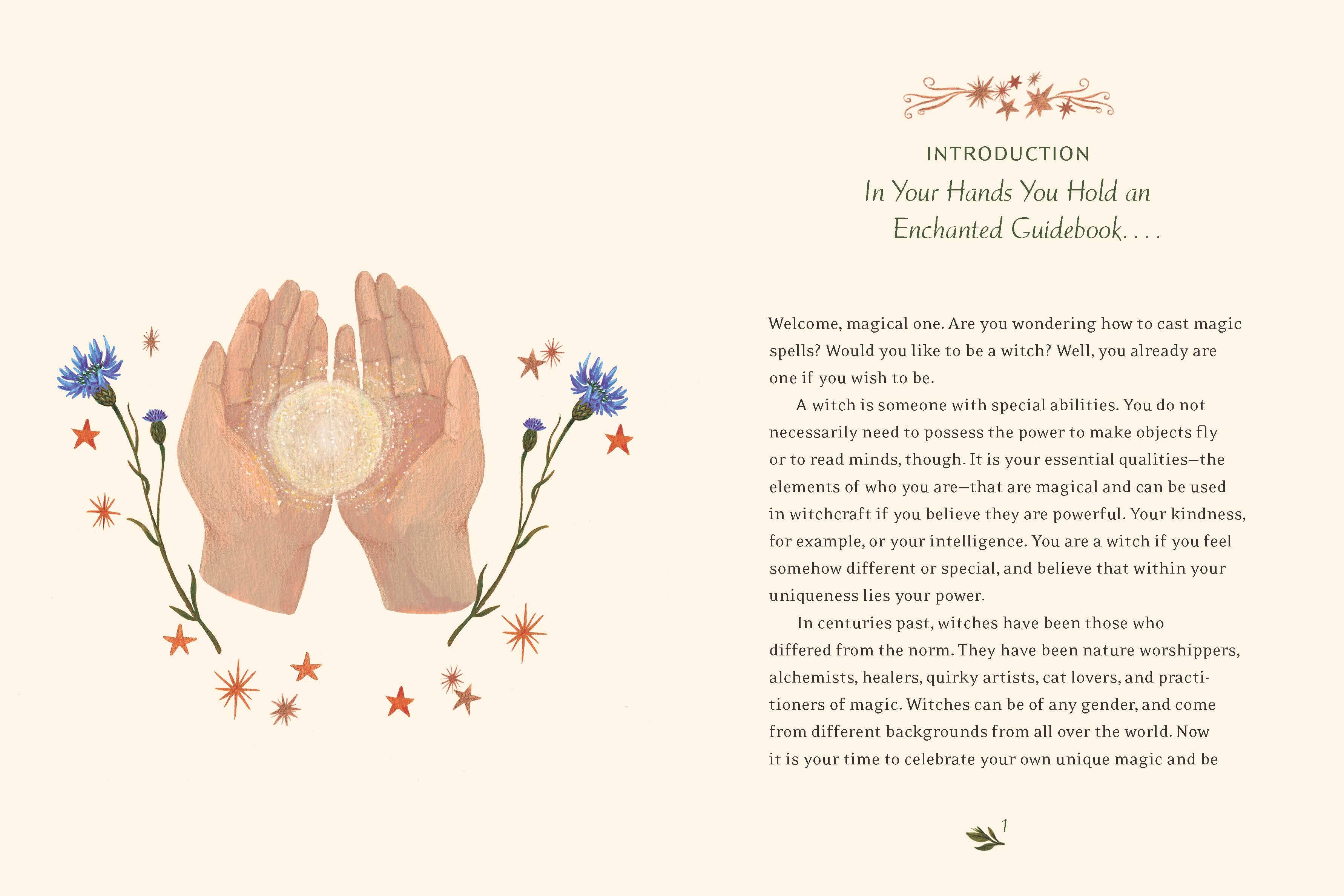 Chronicle Books - Wholesale Middle Grade Book (9-12) - The Little Witch's Book of Spells2