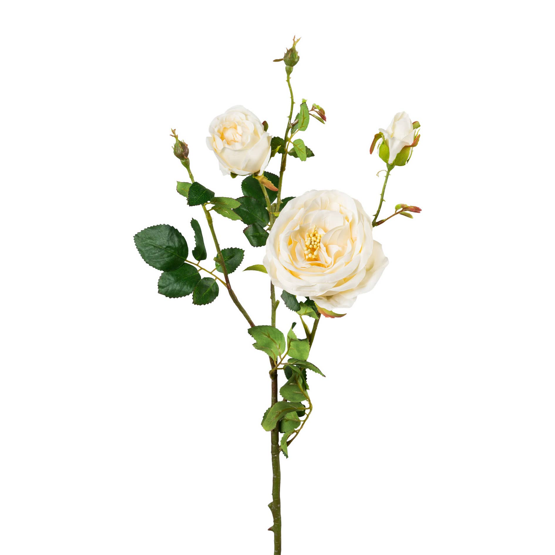 GASPER GmbH - Wholesale Artificial Flowers - Rose branch X5 4/poly, 63cm0
