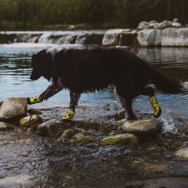 Carolina Pet Company - Wholesale Pet Boots - Dog - Body Glove Paw Protector Booties10