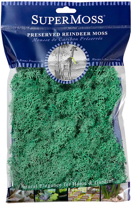 SuperMoss – Großhandel Pflanzen – SuperMoss Rentiermoos konserviert, 57 g Beutel19