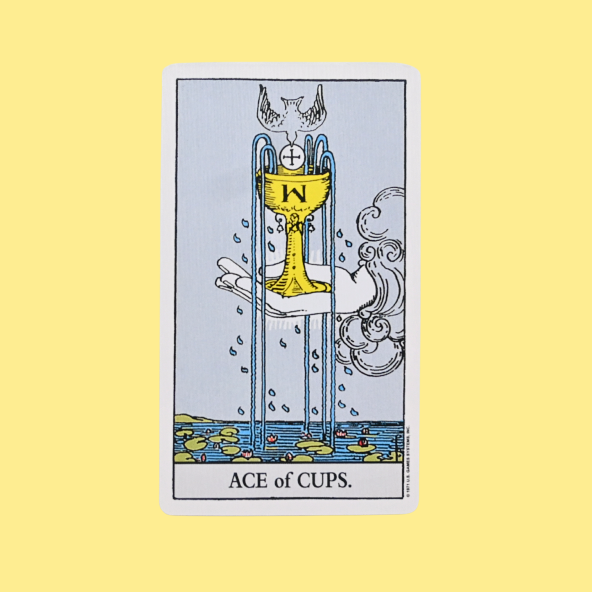 Riley Grae - Wholesale Gag Gift/Novelty Gift - One Card Tarot Reading4