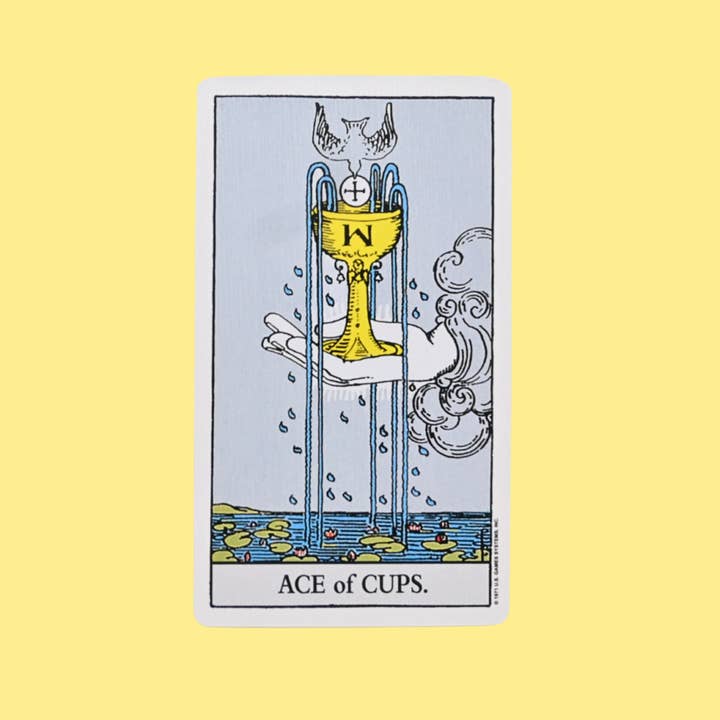 Riley Grae - Wholesale Gag gift/novelty gift - One Card Tarot Reading4