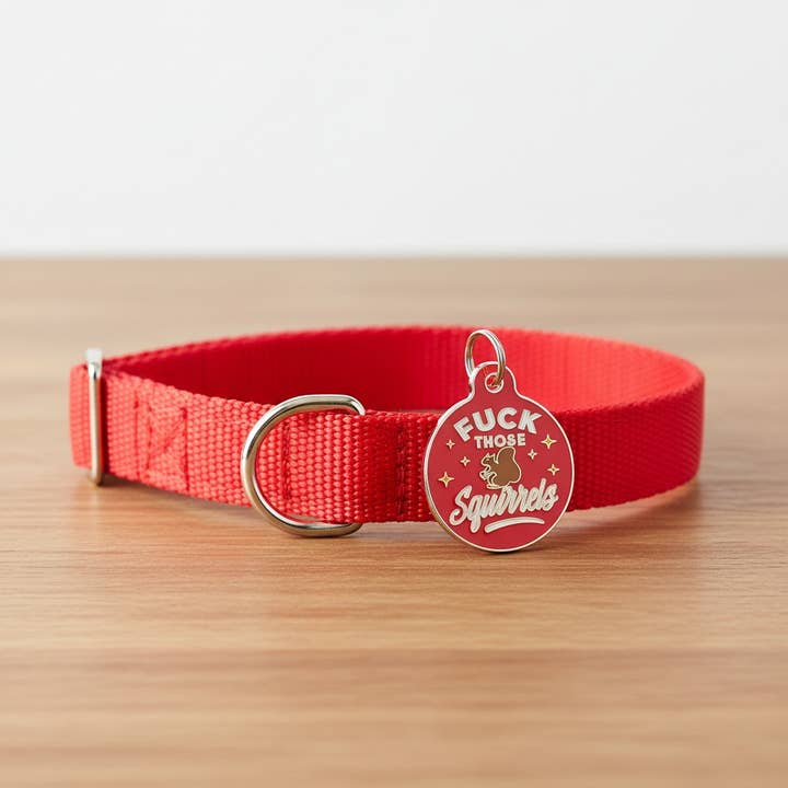 Bad Tags - Wholesale Pet Collar Charm - Cat/Dog - Personalized Dog Tag Scannable QR Code - Fck Those Squirrels6