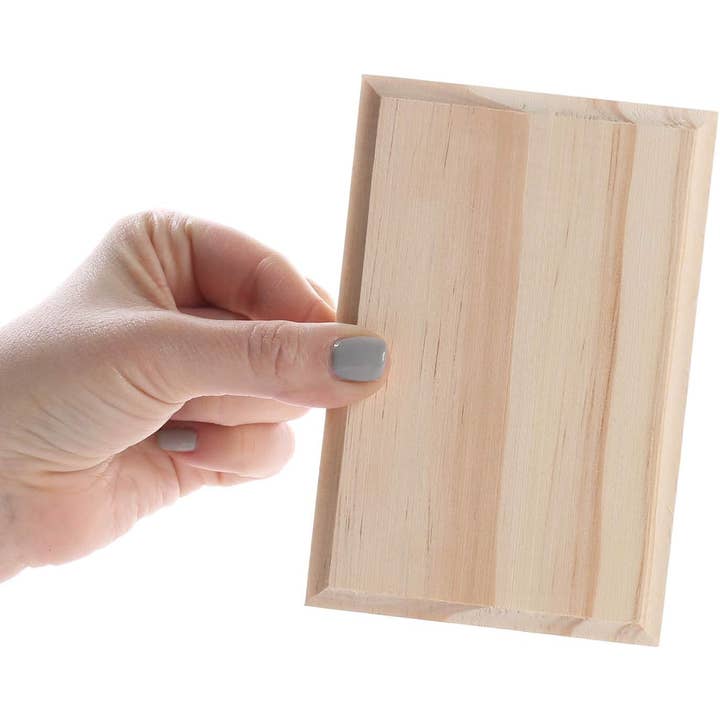 Factory Direct Craft - Wholesale Plaque - Bag of 3 Assorted Shape Unfinished Wood Plaques
