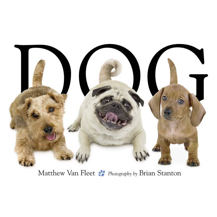 Dog by Matthew Van Fleet for wholesale by Simon & Schuster