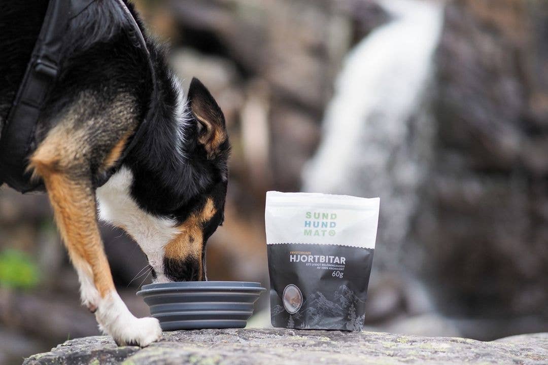 Sund Hundmat - Vendita all'ingrosso Snack - Cani - Pezzetti di cervo liofilizzati 60 g1