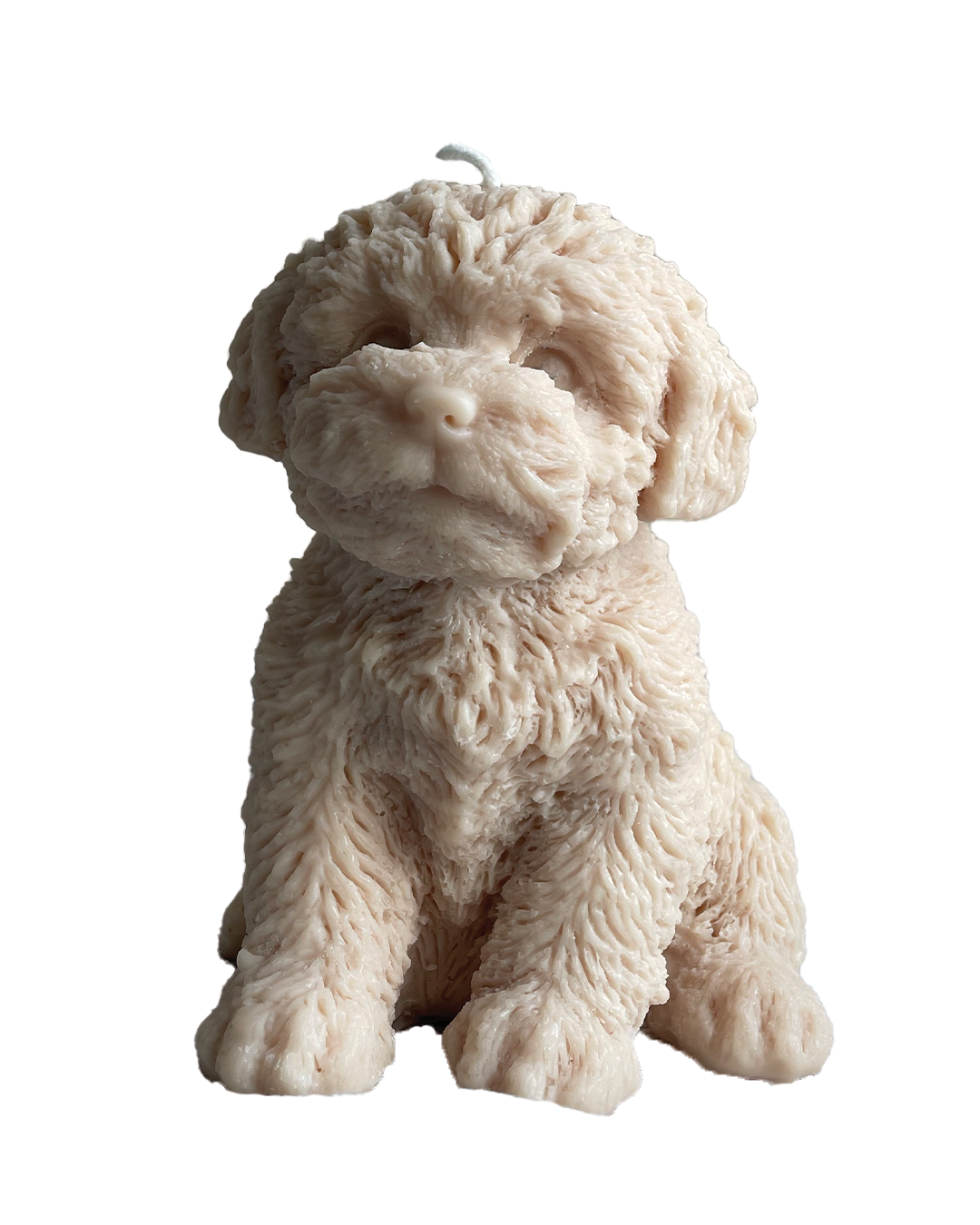 Silke-Amsterdam - Wholesale Grappige kaars - Puppy Kaars XL | Dierenkaars | Silke-Amsterdam1