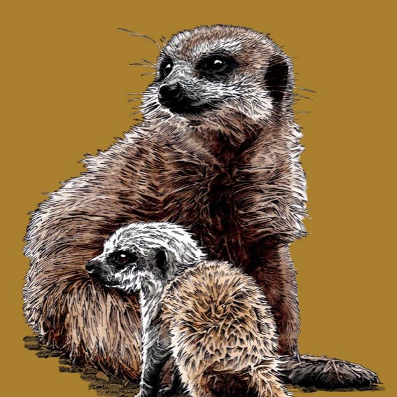 Some Ink Nice - Vente Cartes bébé - Carte pour nouveau-né suricate* carte suricate* cartes animaux2