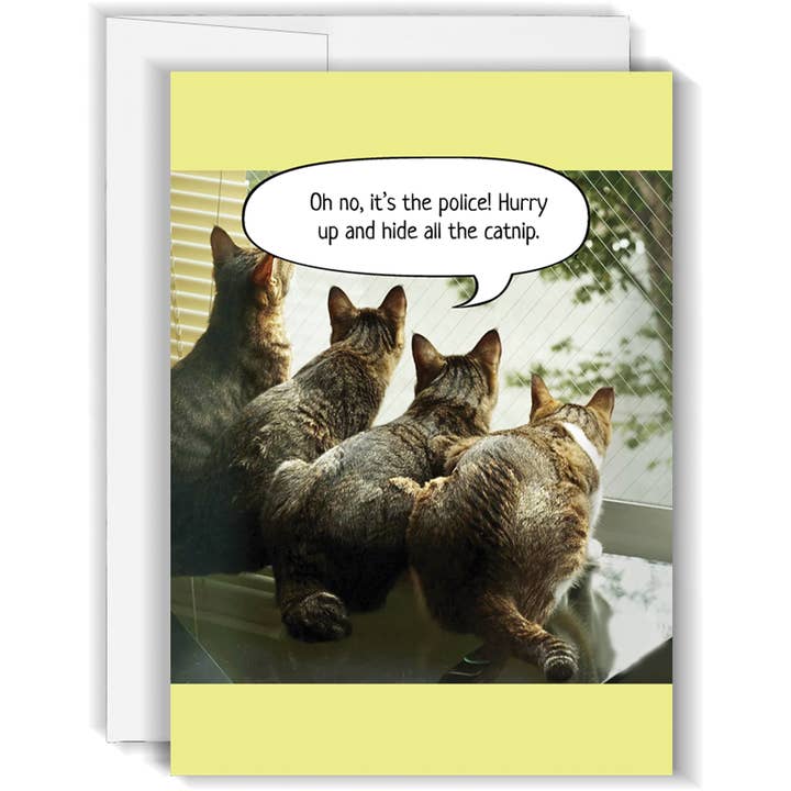 Catnip - Funny Birthday Card for wholesale by Card Grin
