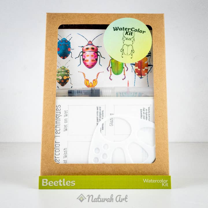 Beetles WaterColor Set for wholesale by Naturah