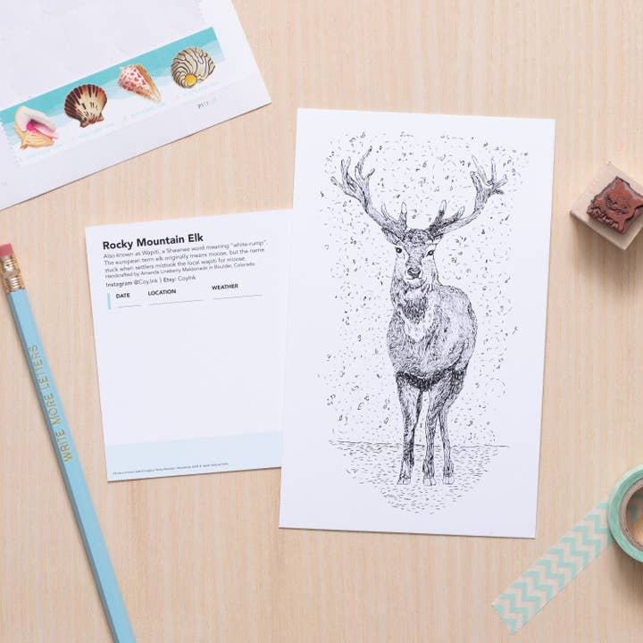Mountain Elk Art for wholesale by Coy Ink Studio