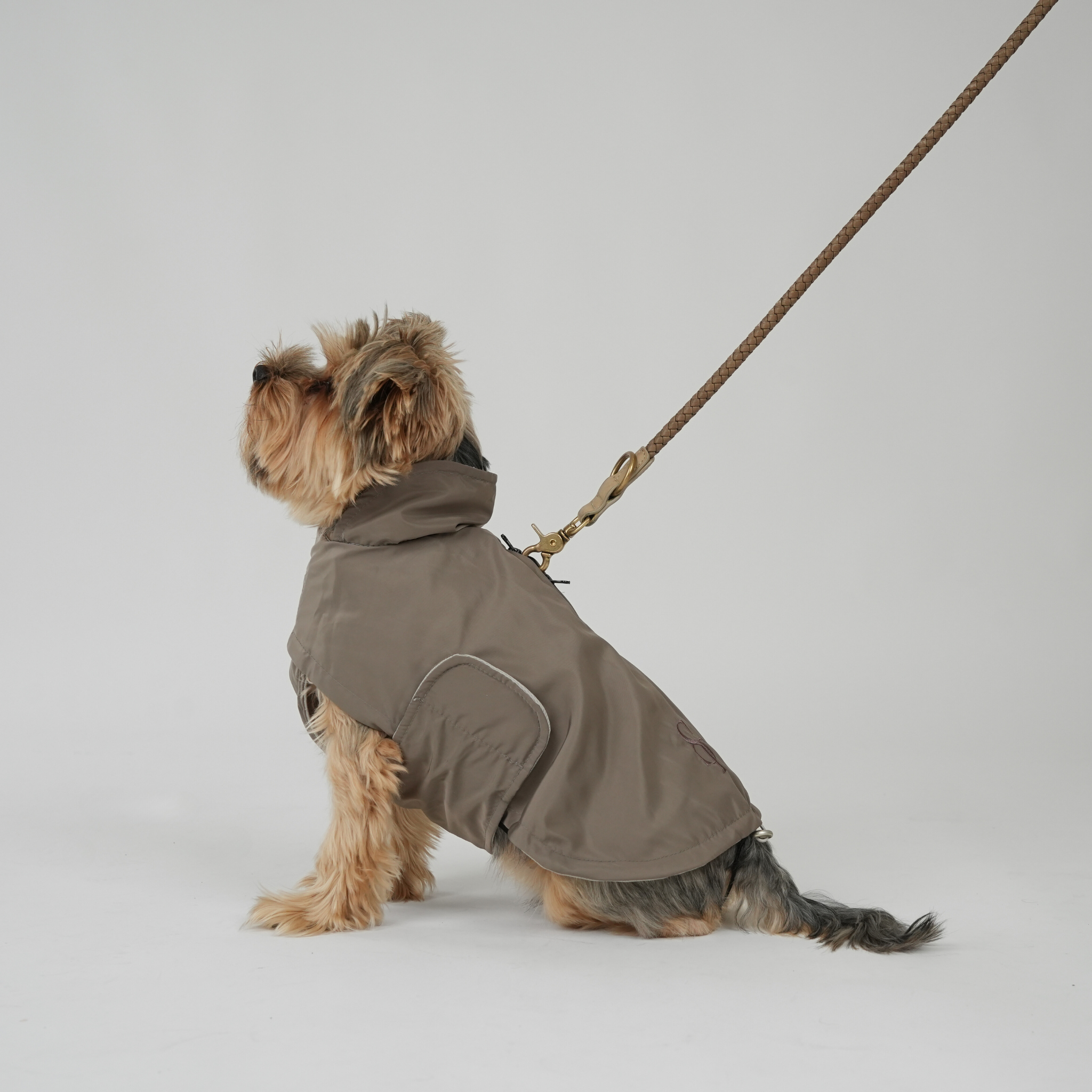Staey – wholesale Hundjacka - Hund – Hundregnjacka Vega | Taupe (utgången)7