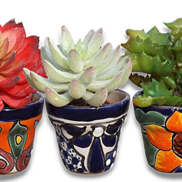 MEXTEQUIL - Wholesale Plant Pot - Talavera Hand-Painted Pottery Planters - Set of 3 (Flowers 2.8")