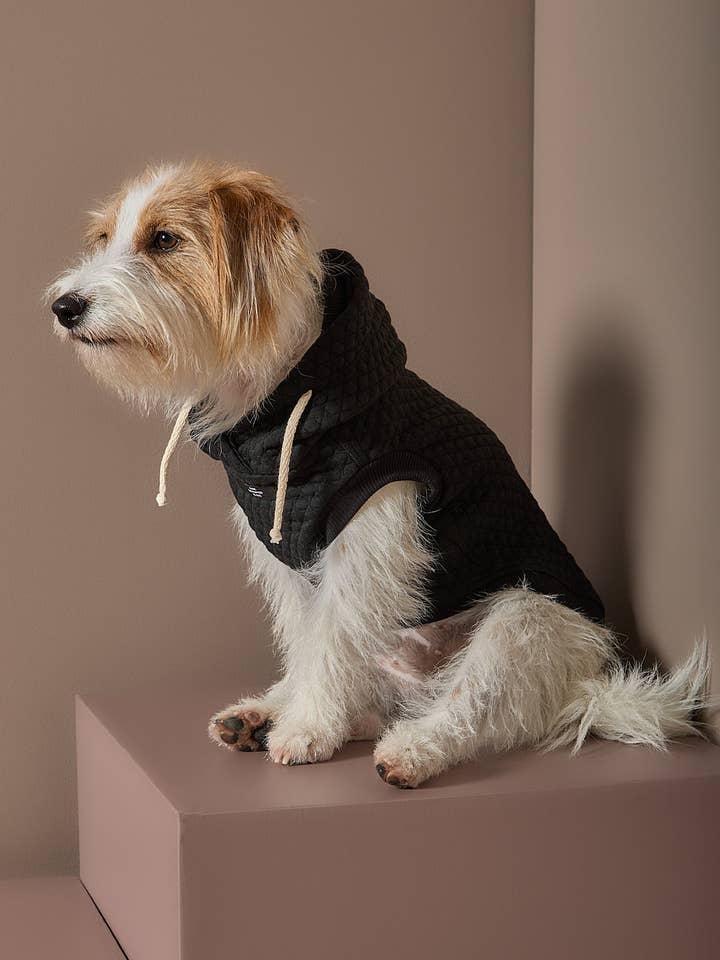 Schwarze strukturierte Kapuzenweste BIRCH für den Großhandel von The Striped Dog