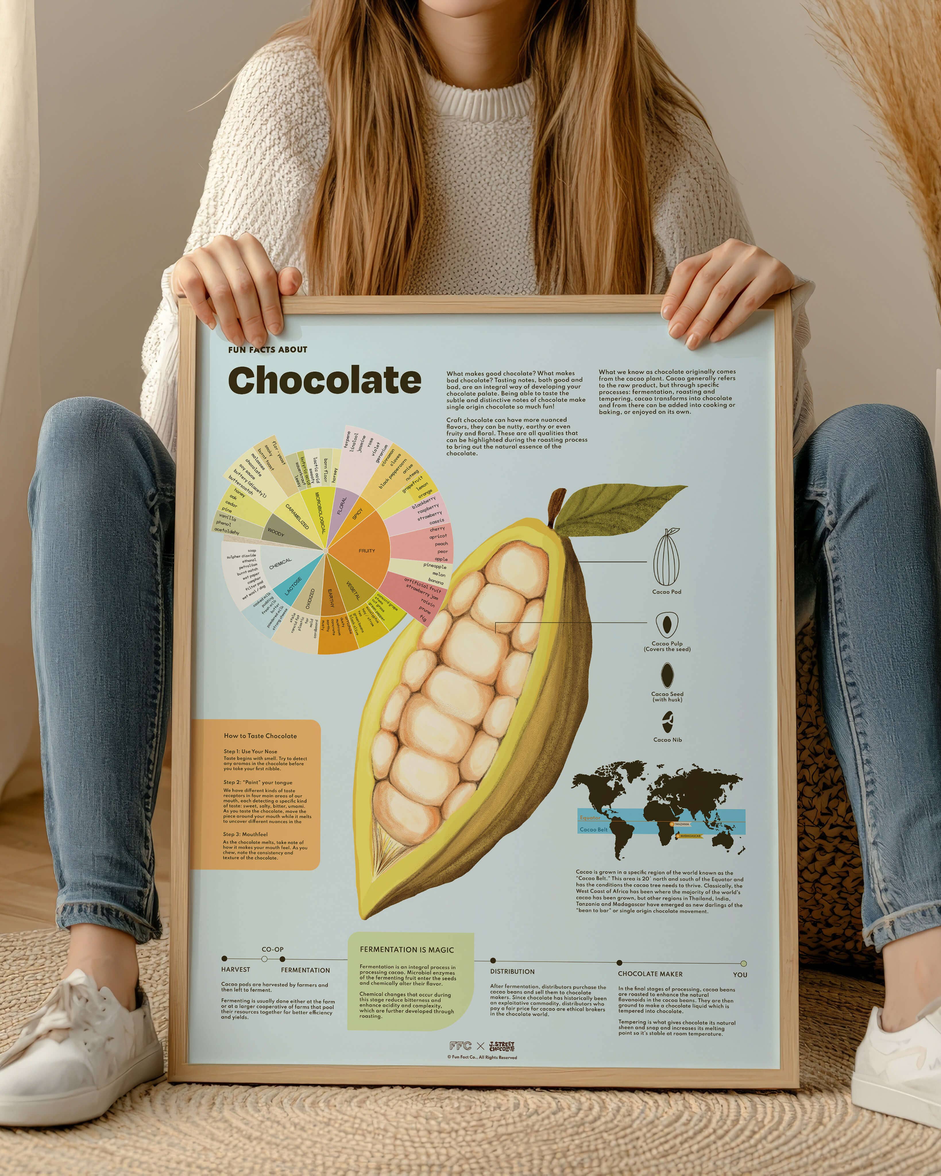 Fun Fact Co. - Wholesale Art Print - Chocolate Fun Facts Print5