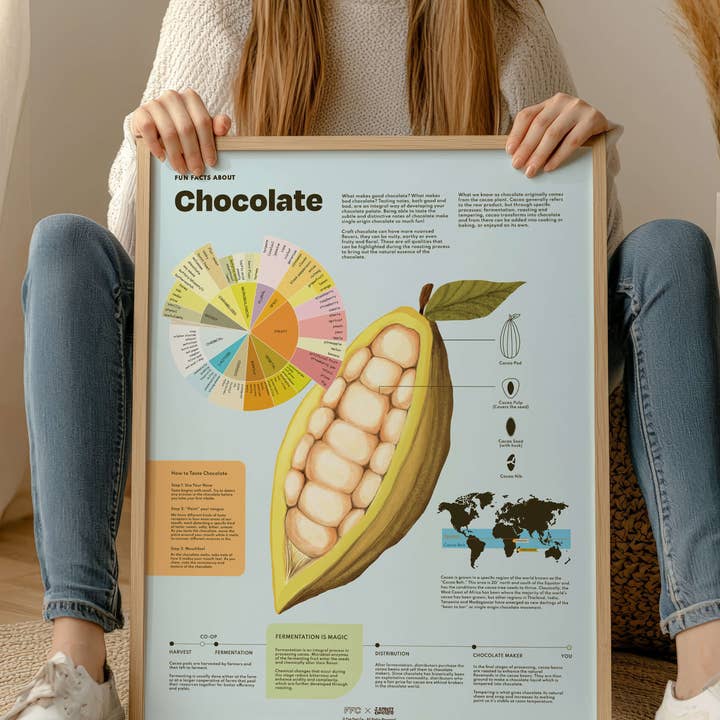 Fun Fact Co. - Wholesale Art Print - Chocolate Fun Facts Print5
