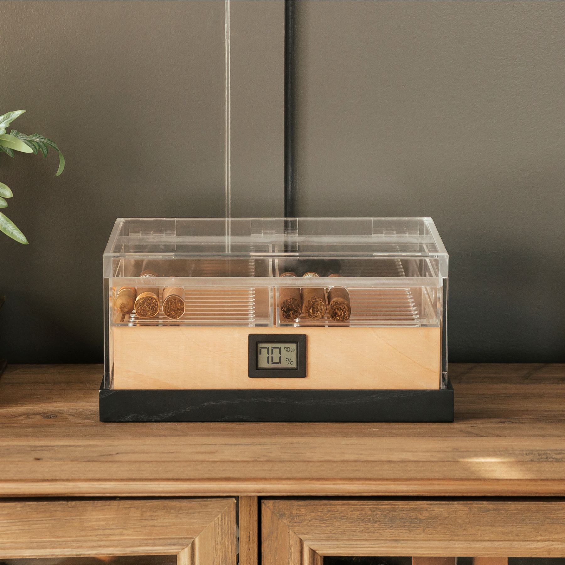 Case Elegance – Acessórios de humidor/charutos por atacado – Felix Pro Tupperdor - Humidor Acrílico6