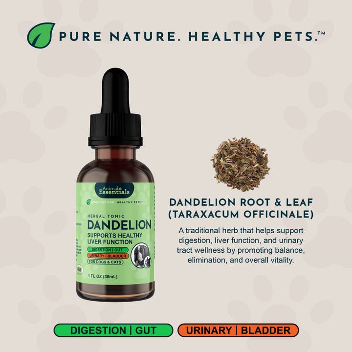 Animal Essentials - Wholesale Pet Supplement - Cat/Dog - Dandelion Single Herb Tonic | Supports Healthy Liver Function3