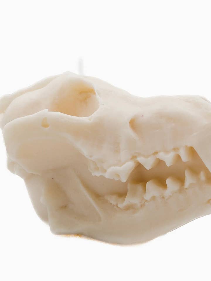 Vargskalleljus | Pelare för wholesale av A Pleasant Thought