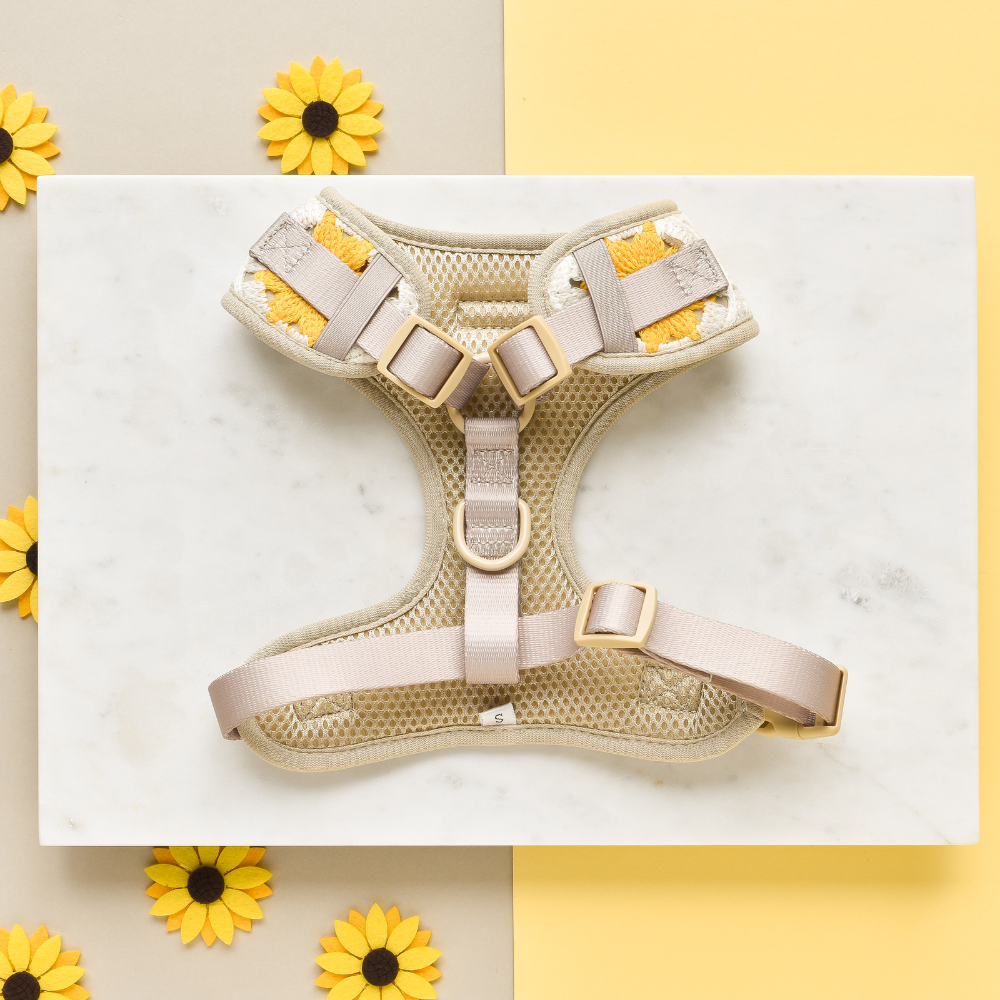 Cocopup London - Wholesale Pet Harness - Dog - Sunflower Patch Adjustable Neck Harness2