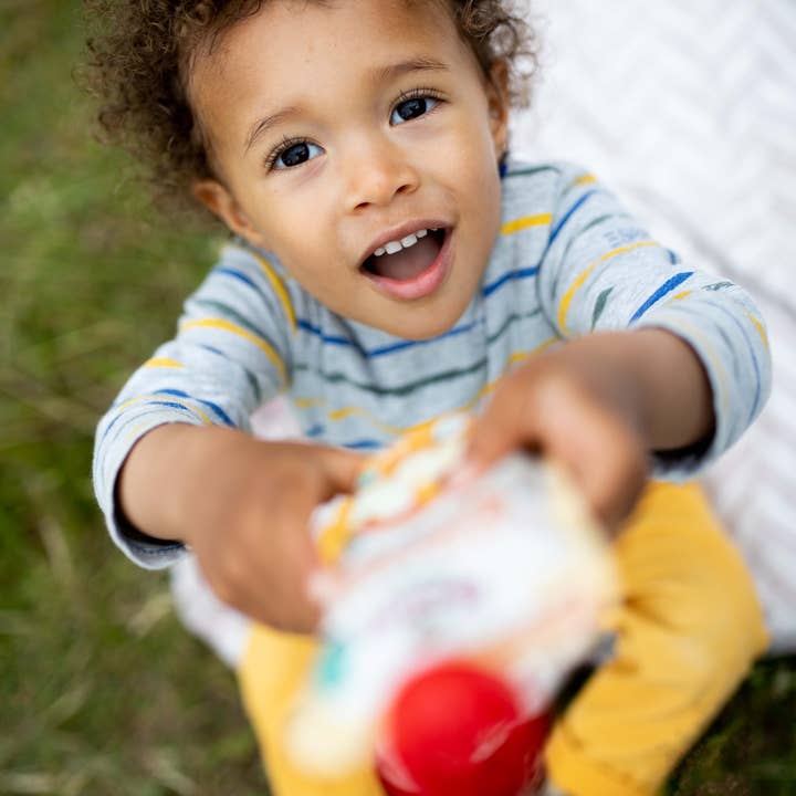 Holle USA - Wholesale Baby Food - Holle Biodynamic Baby Food Pouches: Banana Llama (12 pack)3