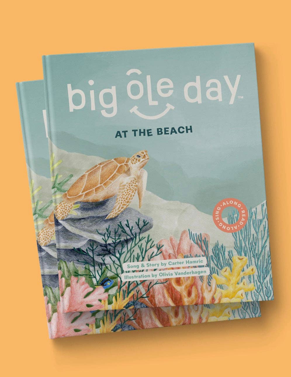 Big Ole Day Studios - Wholesale Baby & Toddler Book (0-2) - Big Ole Day at the Beach Singalong Musical Interactive Book0
