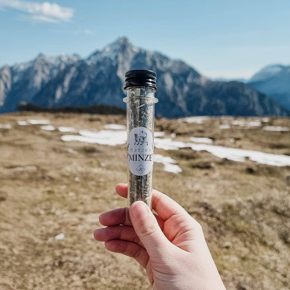 ne&no – wholesale Leksak - Katt – ne&no® Naturlig kattmynta - Set med 3 i elegant presentförpackning2