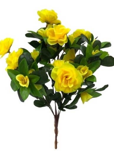 DF20161 - Six Assorted Begonia Bunch for wholesale by David Fischhoff Ltd