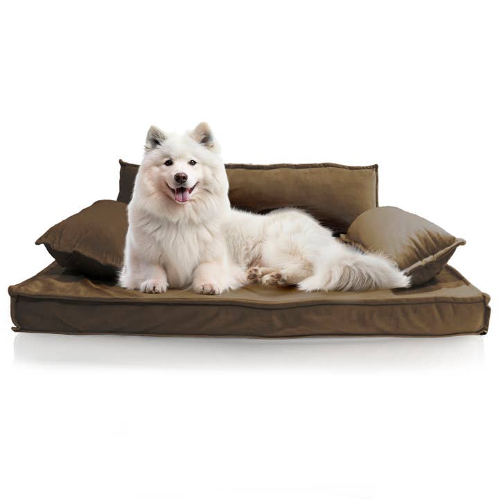Precious Tails - Wholesale Pet Bed - Dog - Precious Tails Modern Sofa Bed - Medium
