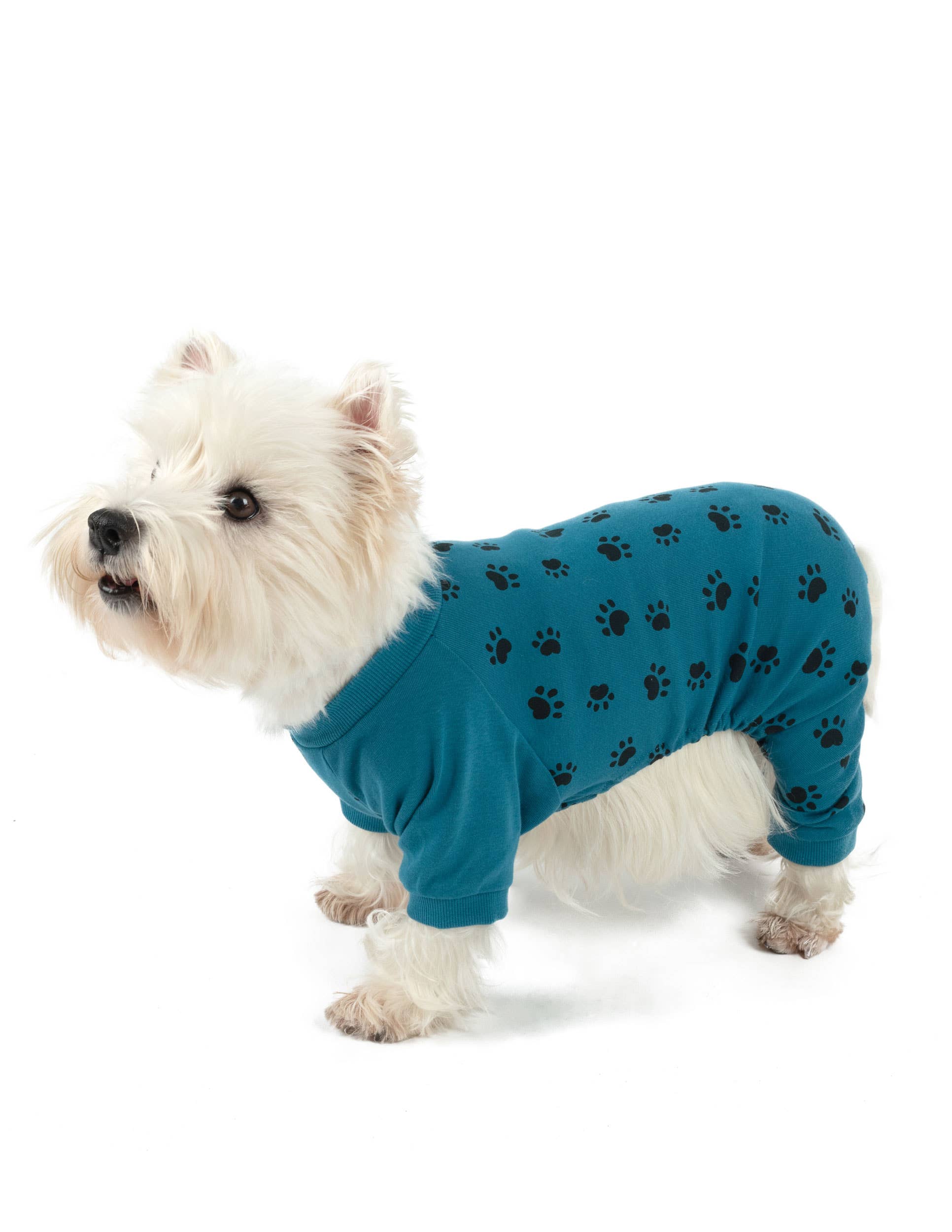 Leveret Pajamas - Wholesale Pyjama voor huisdieren - Hond - Dog Cotton Dog Paw Blue Pyjama2