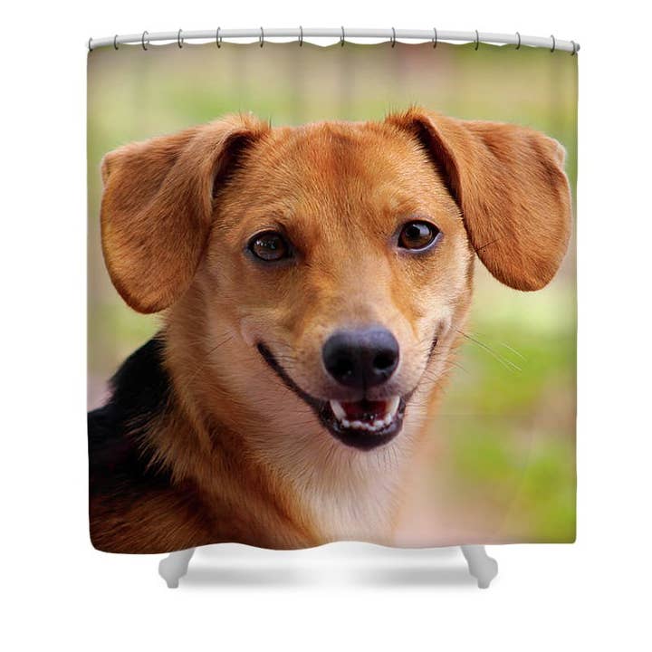 “O DOCE RETRATO BONITO CÃO” CORTINA DE CHUVEIRO por atacado de sorayadapuzzostore