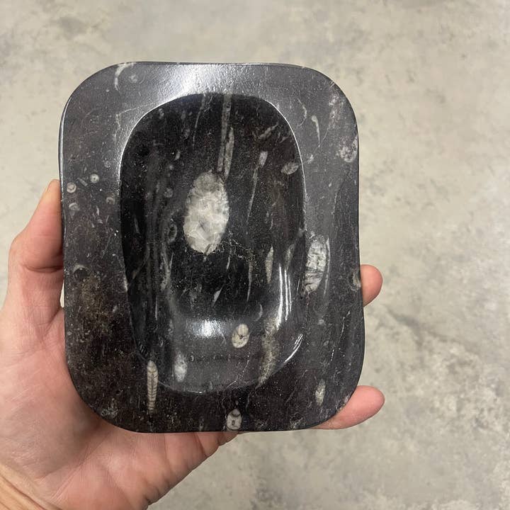 Orthoceras fossiel en calciet schaal voor wholesale door Casablanca Exports