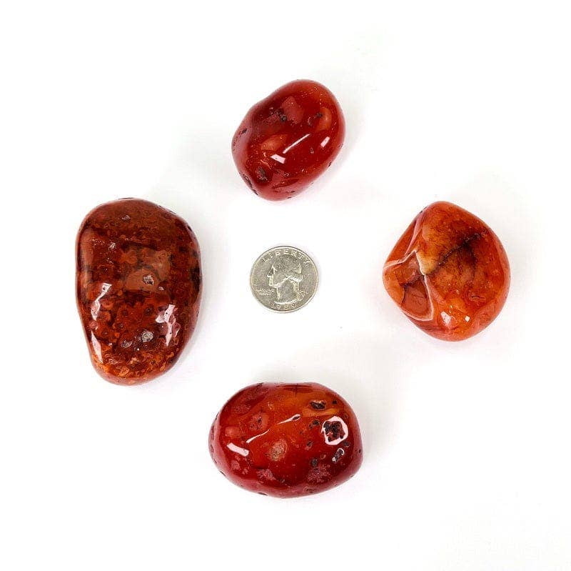 Rock Paradise - Wholesale Spiritual Stone/Crystal - Carnelian Crystal Tumbled Stones - XLarge Size - Choose 1,32