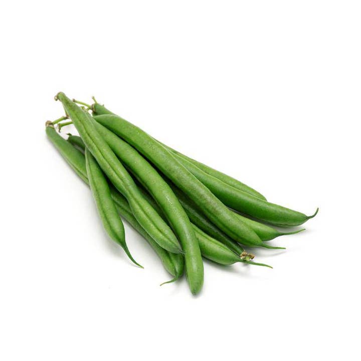 Bentley Seed Co. - Wholesale Plant Seeds - Beans, Provider Bush Bean Seed Packets2