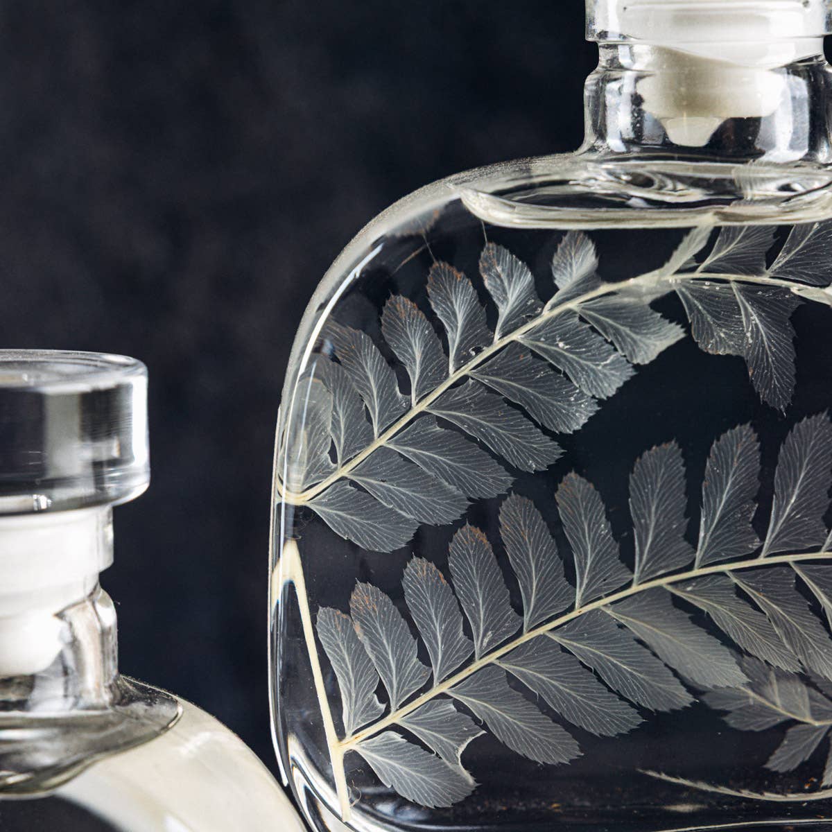 Theophile Berthon - Wholesale Live Plant - The Herbarium Capsule - White Leather Fern - Submerged Plant7