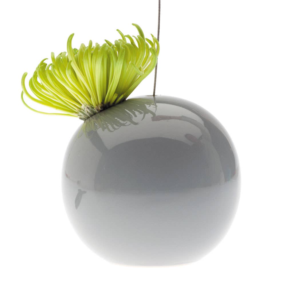 Chive - Vente Jardinière suspendue - Suspension pour plantes grasses9