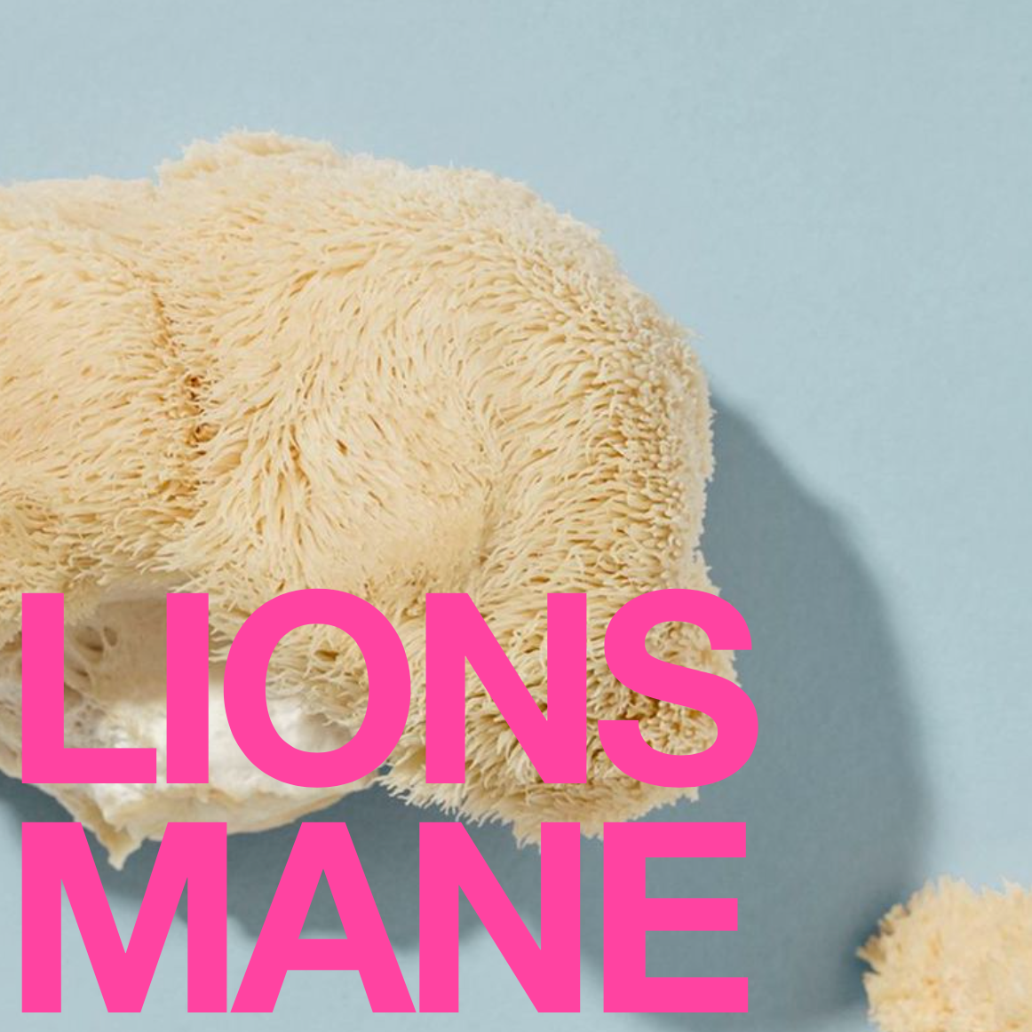 Eat Gold Organics - Wholesale Chocolate Bar - CREATE MAGIC a Potent, Functional & Delicious Chocolate Bar9