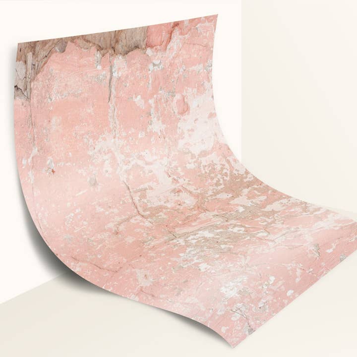 Pablo Photography Backdrop for wholesale by Everyday Co.