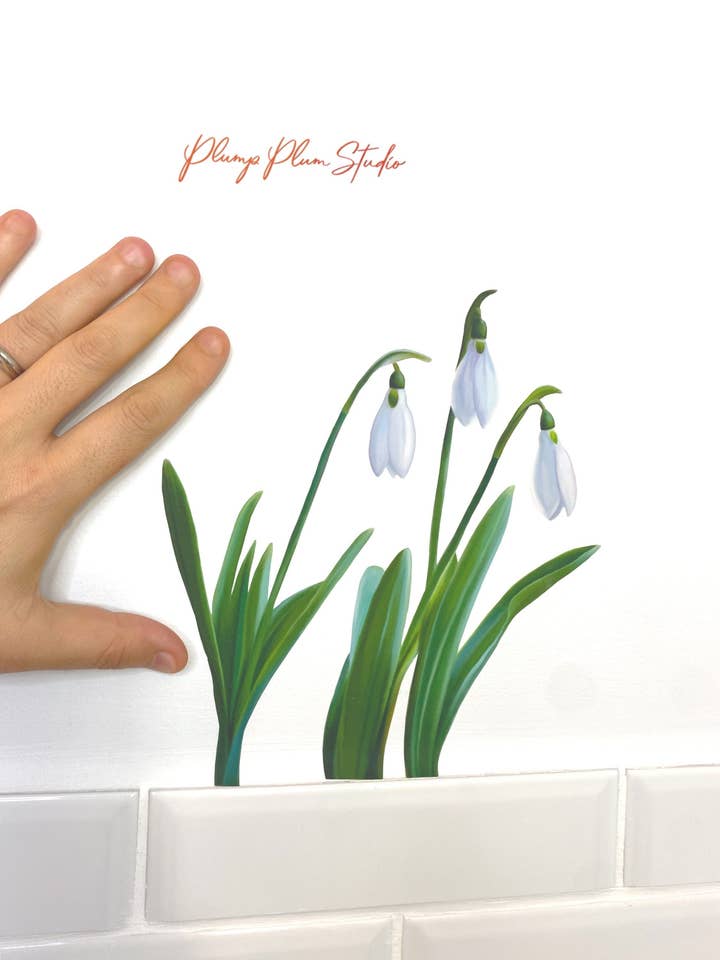Beautiful White Snowdrop florido decalque de planta, flor branca por atacado de Plump Plum Studio